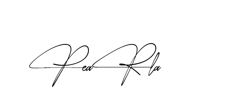 The best way (AbsolutelySilentRegular-w1mY3) to make a short signature is to pick only two or three words in your name. The name Ceard include a total of six letters. For converting this name. Ceard signature style 2 images and pictures png