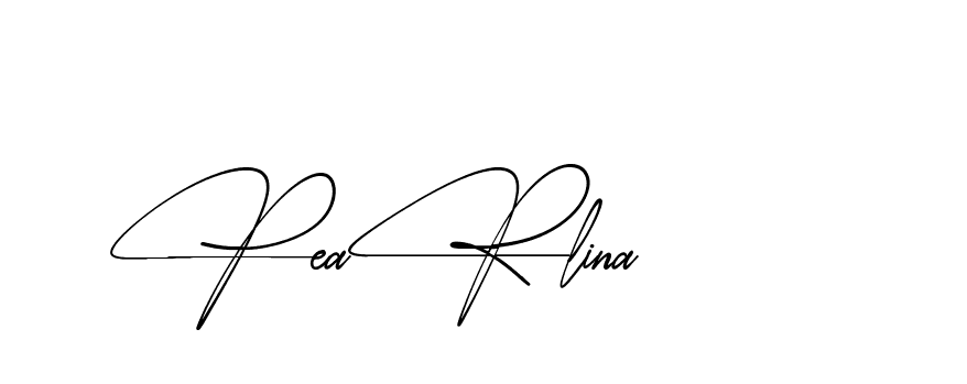 The best way (AbsolutelySilentRegular-w1mY3) to make a short signature is to pick only two or three words in your name. The name Ceard include a total of six letters. For converting this name. Ceard signature style 2 images and pictures png