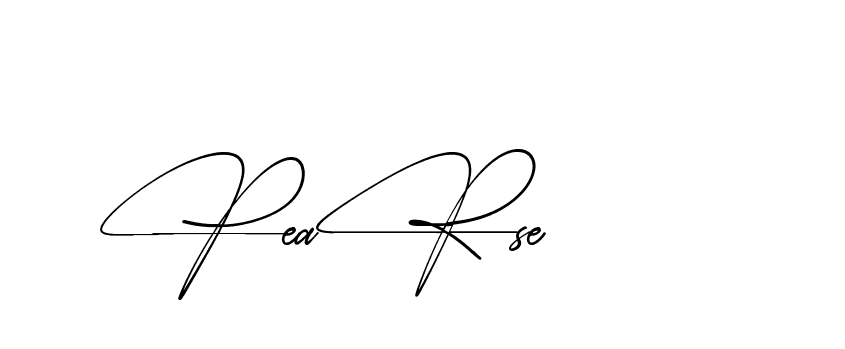 The best way (AbsolutelySilentRegular-w1mY3) to make a short signature is to pick only two or three words in your name. The name Ceard include a total of six letters. For converting this name. Ceard signature style 2 images and pictures png