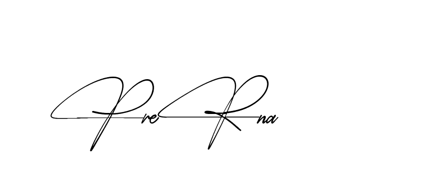 The best way (AbsolutelySilentRegular-w1mY3) to make a short signature is to pick only two or three words in your name. The name Ceard include a total of six letters. For converting this name. Ceard signature style 2 images and pictures png