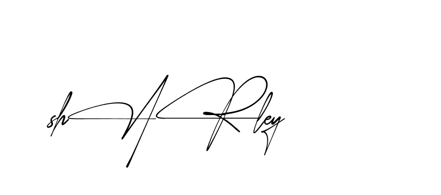 The best way (AbsolutelySilentRegular-w1mY3) to make a short signature is to pick only two or three words in your name. The name Ceard include a total of six letters. For converting this name. Ceard signature style 2 images and pictures png