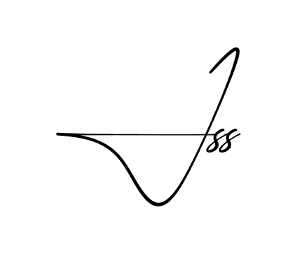 Js S practice signature writing style