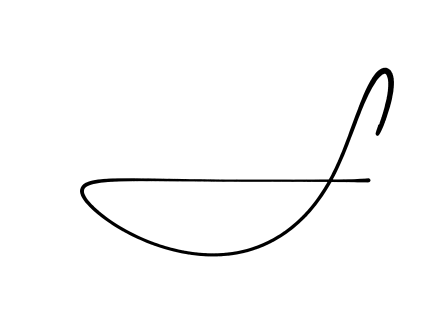 S practice signature writing style