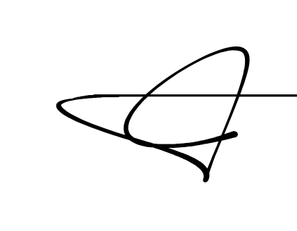 C name signature writing style