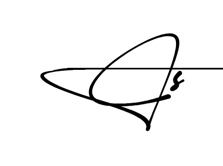C S name signature writing style