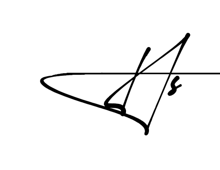 H S name signature writing style