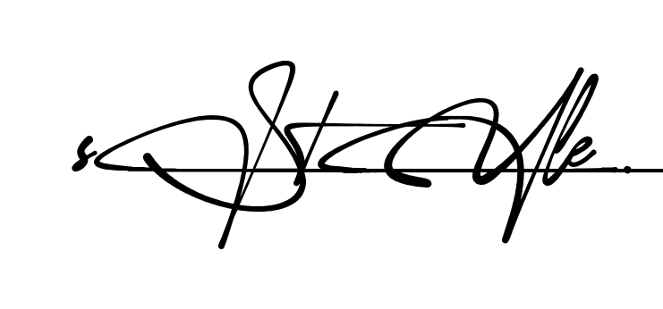 S Style signature PNG download preview