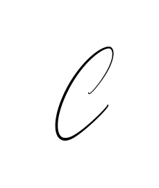 C creative signature style in English