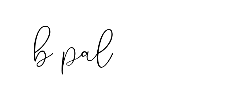 Signature of b-pal