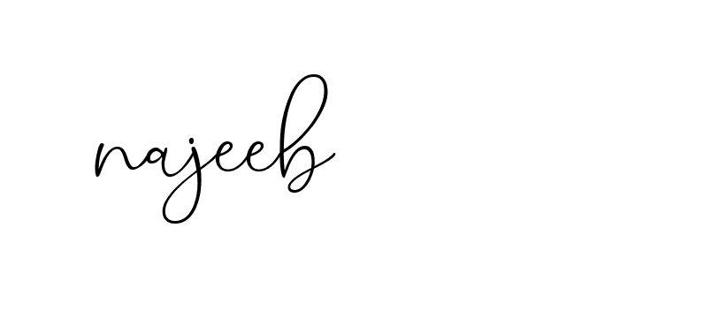 Signature of najeeb-