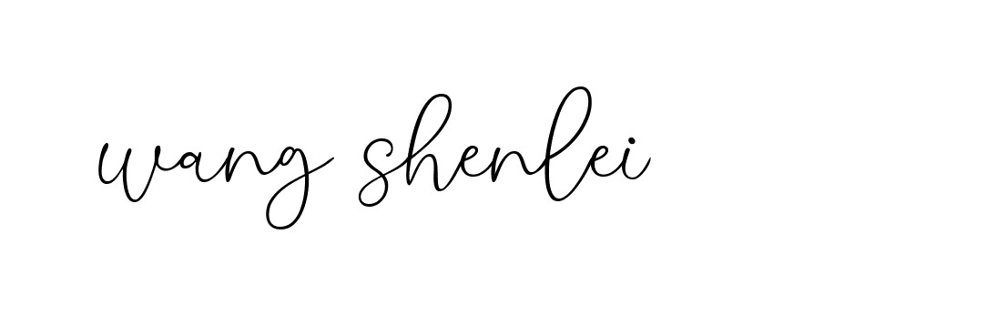 Signature of wang-shenlei