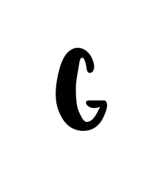 G professional signature design