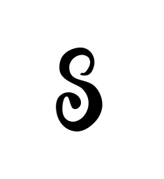 S professional signature design