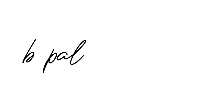 Signature of b-pal