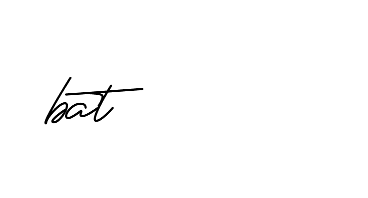 Signature of bat