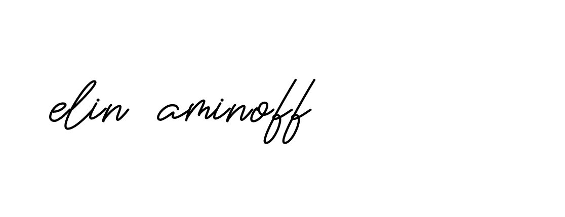 Signature of elin-aminoff