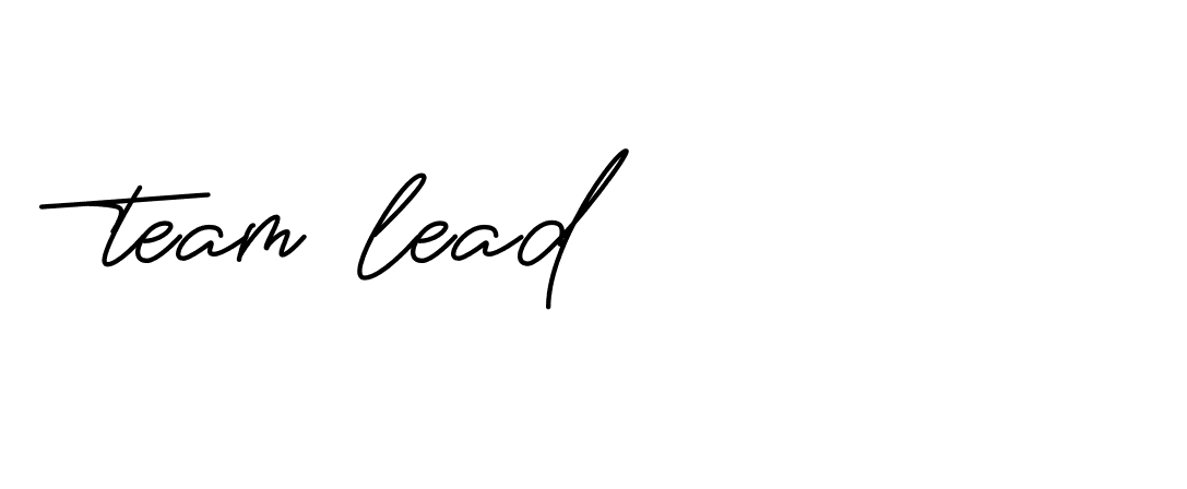 Signature of team-lead