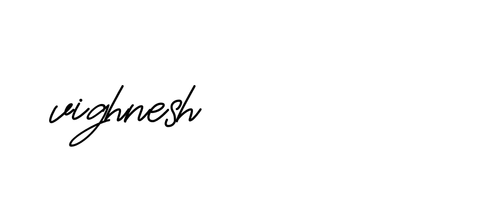 Signature of vighnesh-