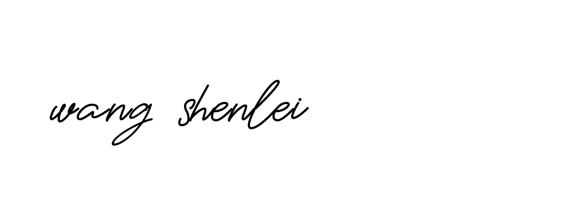 Signature of wang-shenlei