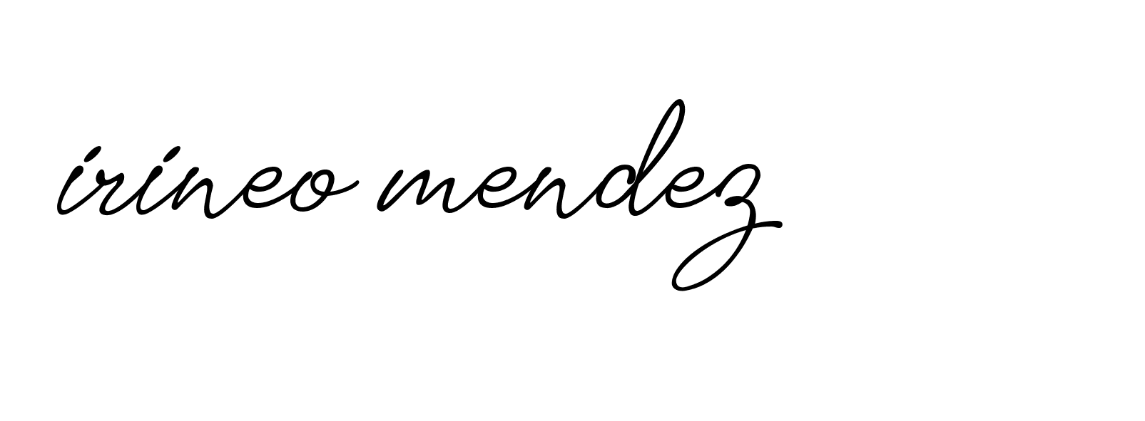 Signature of irineo-mendez-