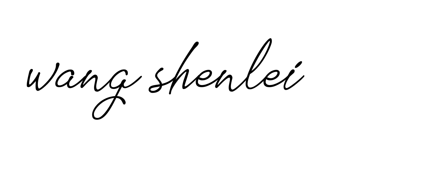 Signature of wang-shenlei