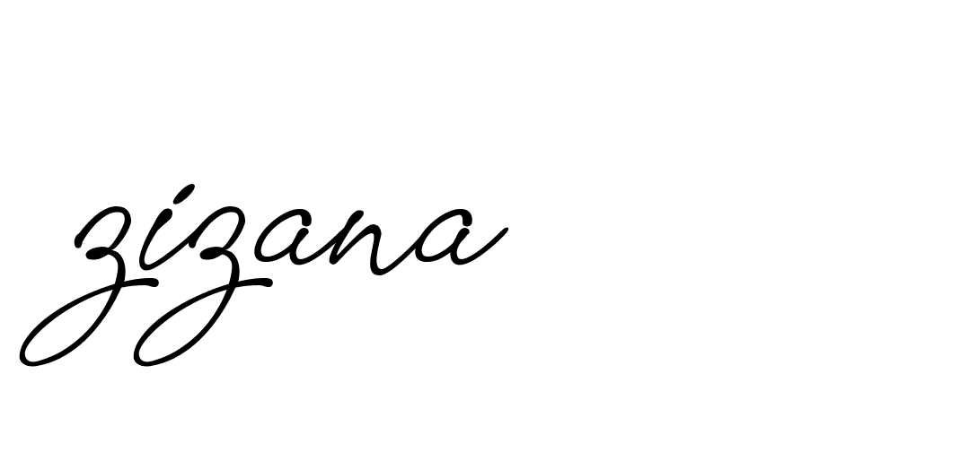 Signature of zizana