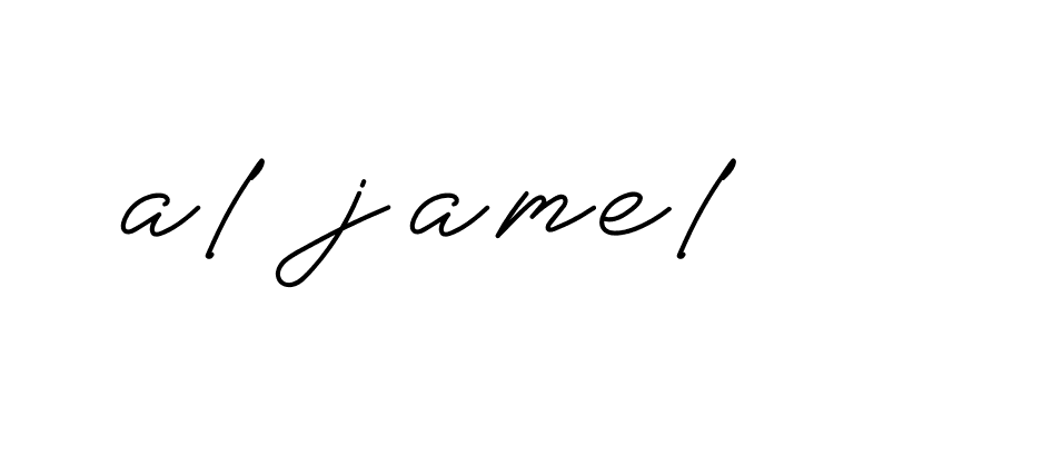 Signature of al-jamel