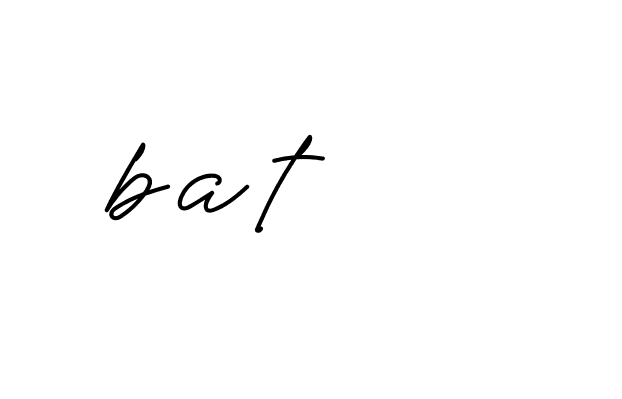 Signature of bat