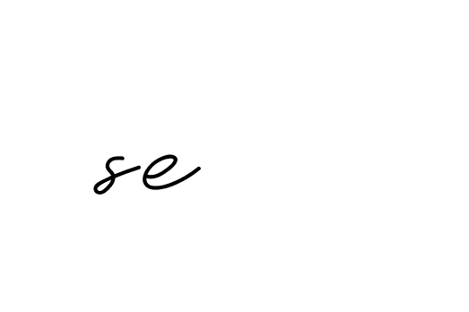 Signature of se