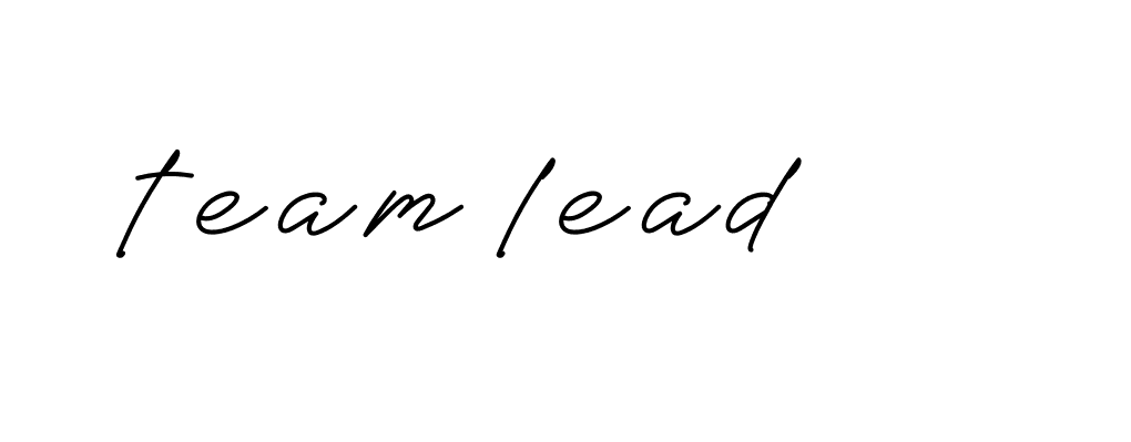 Signature of team-lead