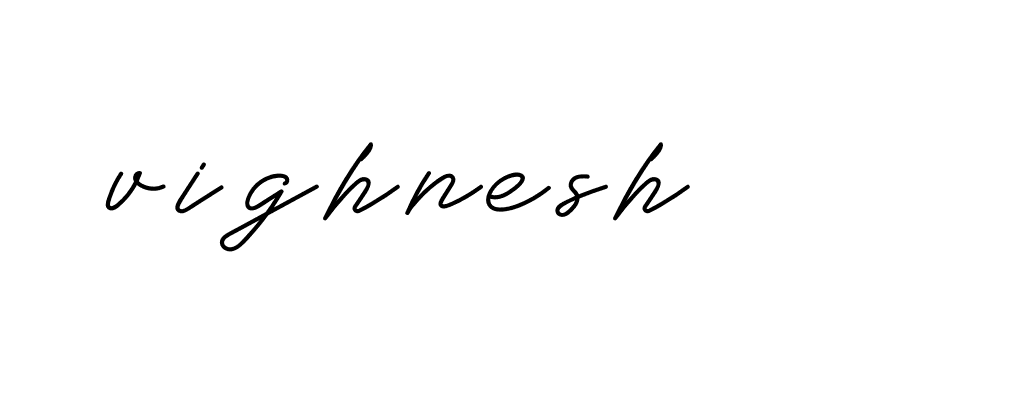 Signature of vighnesh-