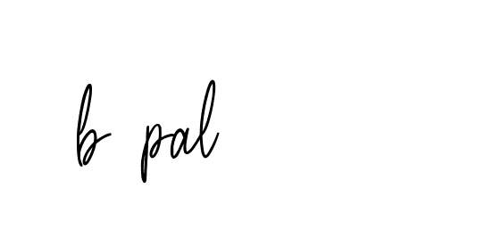 Signature of b-pal