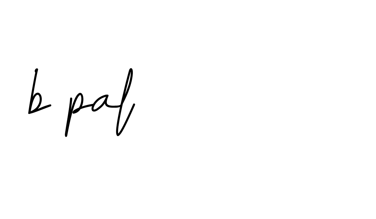 Signature of b-pal