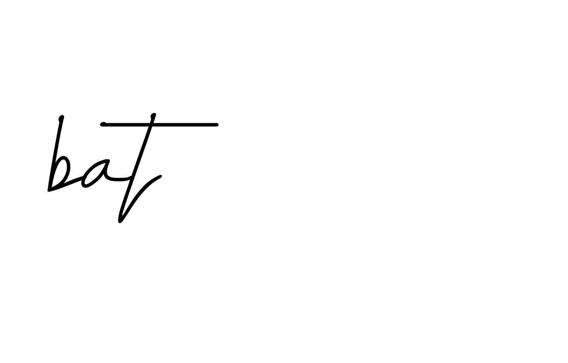 Signature of bat