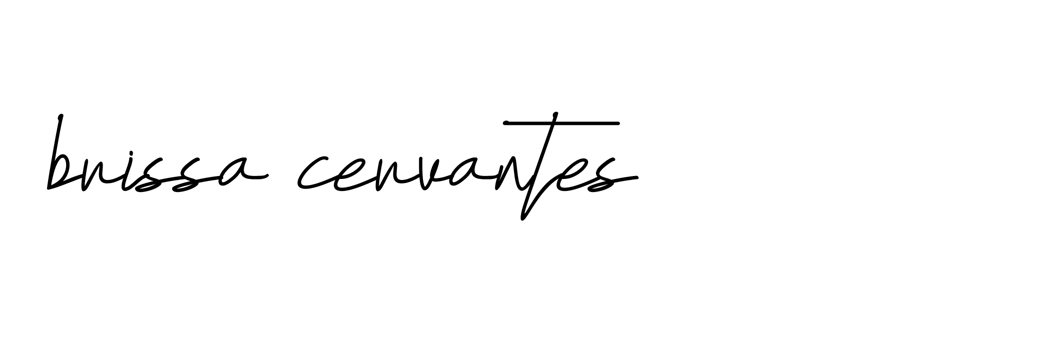 Signature of brissa-cervantes