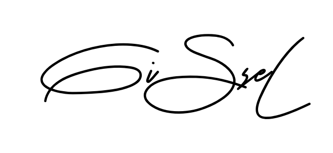Gissel smooth handwritten signature style