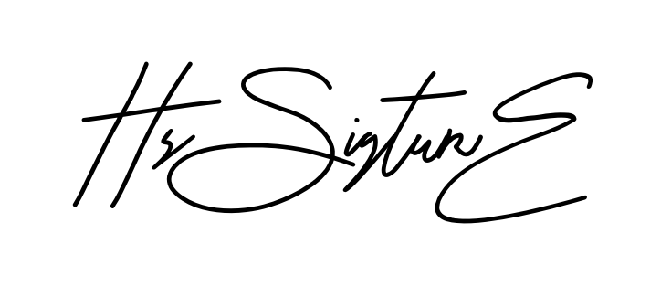 Hs Signature smooth handwritten signature style