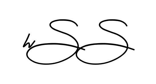 Hs S long name signature style