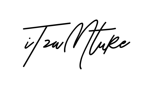 Itzamar Signature clean signature PNG idea