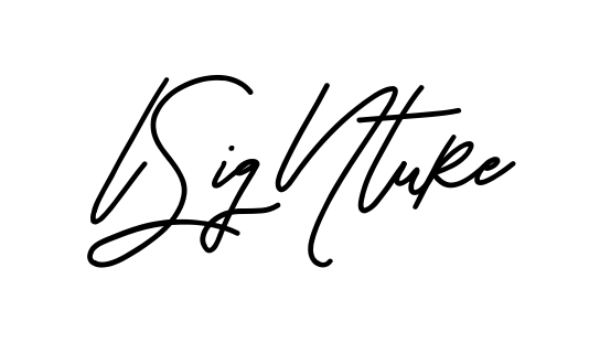 L Signature clean signature PNG idea