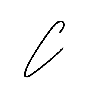 C full name handwritten signature design