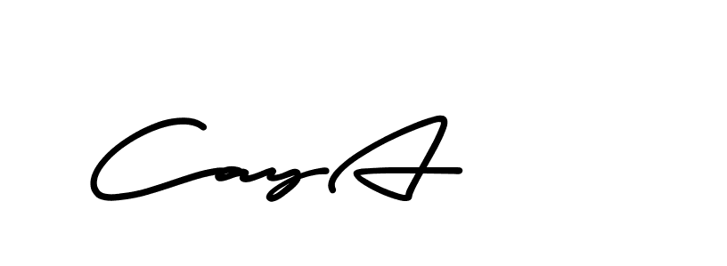 The best way (AristaSignature-K71Pe) to make a short signature is to pick only two or three words in your name. The name Ceard include a total of six letters. For converting this name. Ceard signature style 2 images and pictures png