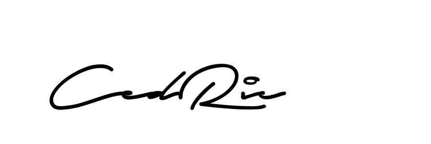 The best way (AristaSignature-K71Pe) to make a short signature is to pick only two or three words in your name. The name Ceard include a total of six letters. For converting this name. Ceard signature style 2 images and pictures png