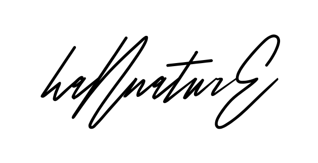 Hannan Signature full name handwritten signature design