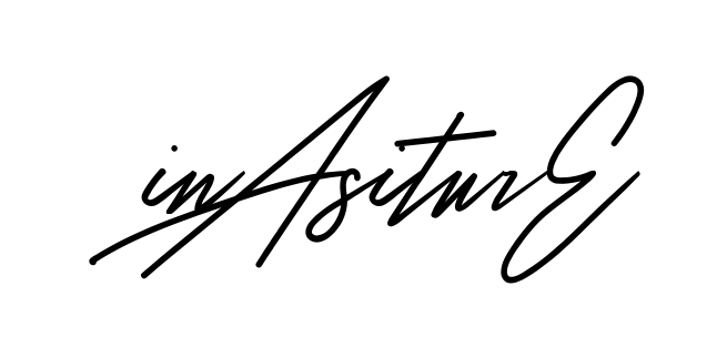 Ina Signature full name handwritten signature design