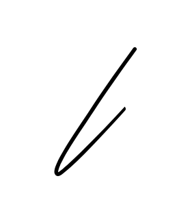 L full name handwritten signature design