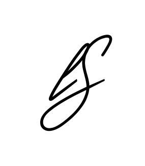 L S full name handwritten signature design