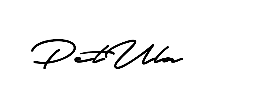 The best way (AristaSignature-K71Pe) to make a short signature is to pick only two or three words in your name. The name Ceard include a total of six letters. For converting this name. Ceard signature style 2 images and pictures png