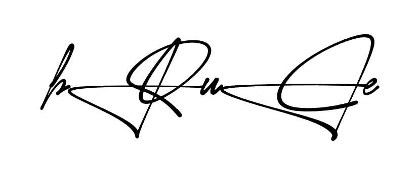 Stylish Bruce signature design