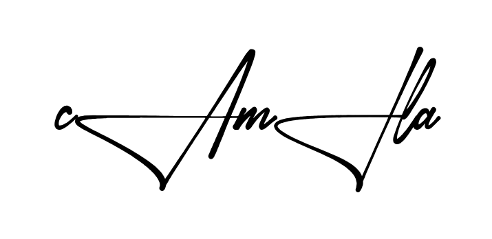 Stylish Camila signature design